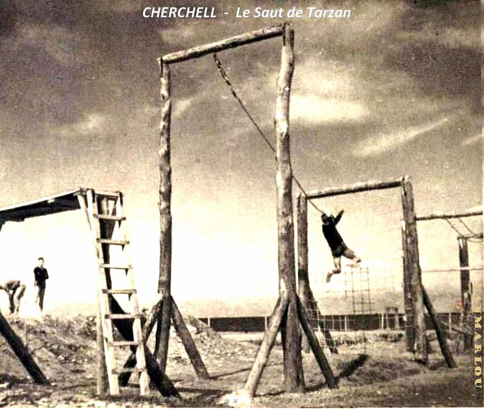 Cherchell - Saut de Tarzan.jpg